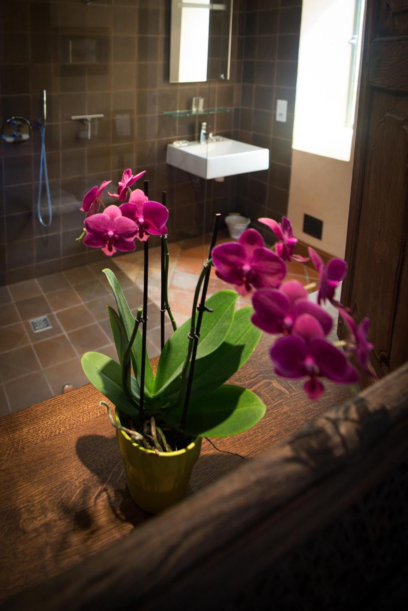 Chambres D'Hotes Domaine De Nazere Avezan Phòng bức ảnh